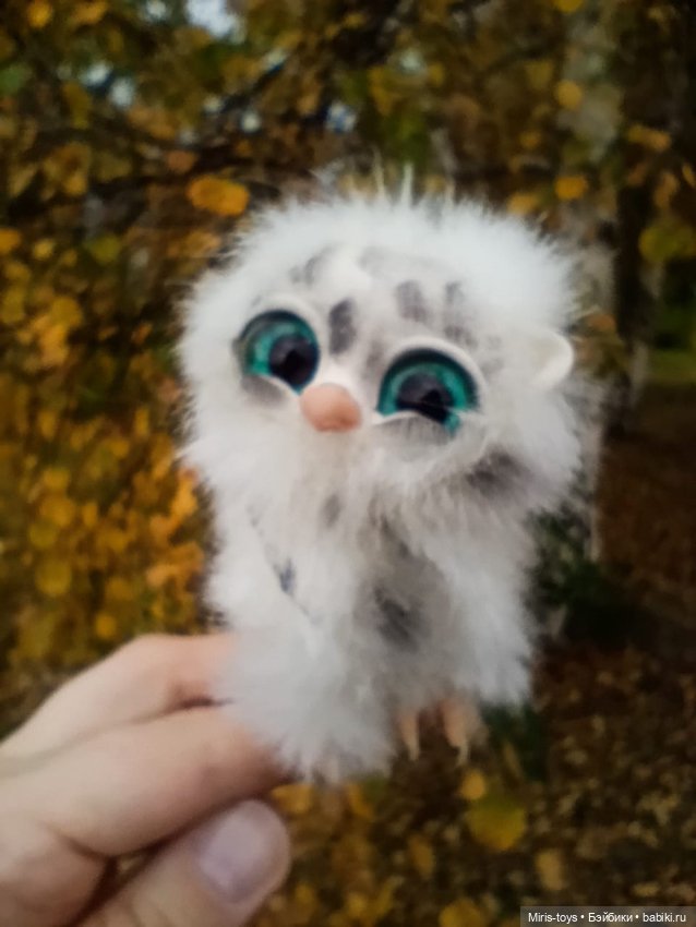 Совенок Лори и последние цветы (фото 6)