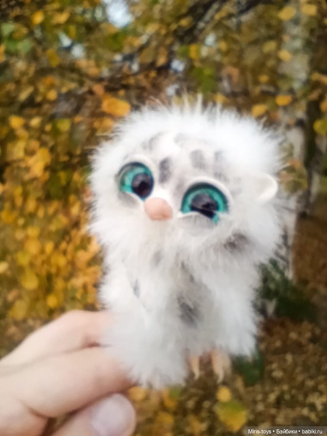 Совенок Лори и последние цветы (фото 5)