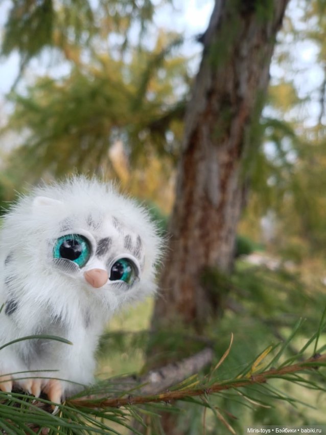 Совенок Лори и последние цветы