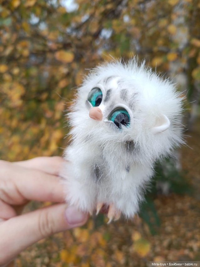 Совенок Лори и последние цветы (фото 9)