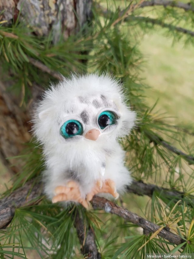 Совенок Лори и последние цветы