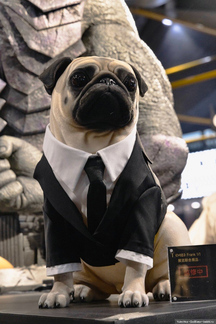 Infinity Studio - Wonder Festival 2025