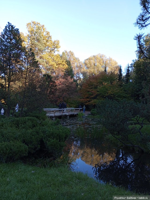 Что такое Момидзигари — Аниме куклы (MJD/Винил): Imomo