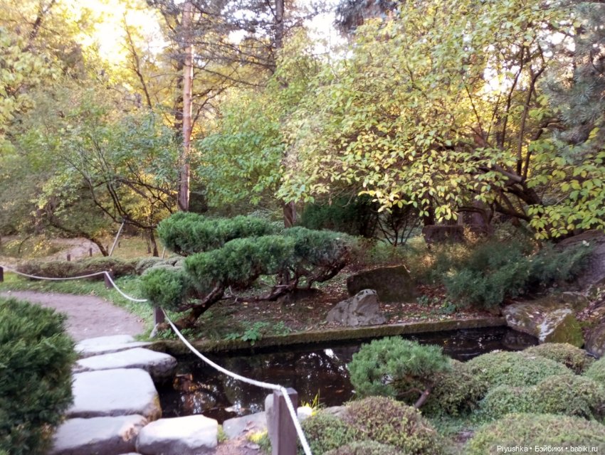 Что такое Момидзигари — Аниме куклы (MJD/Винил): Imomo