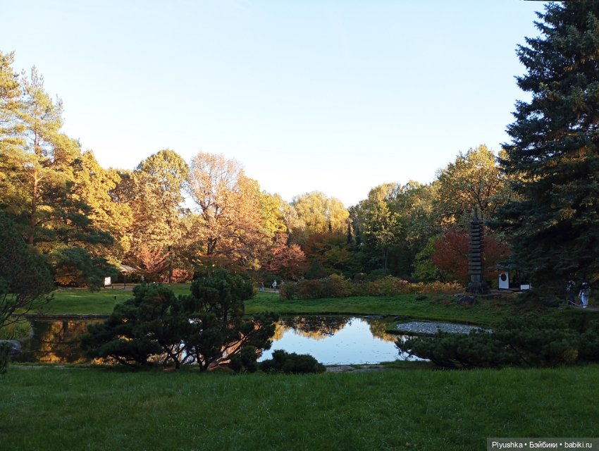 Что такое Момидзигари — Аниме куклы (MJD/Винил): Imomo