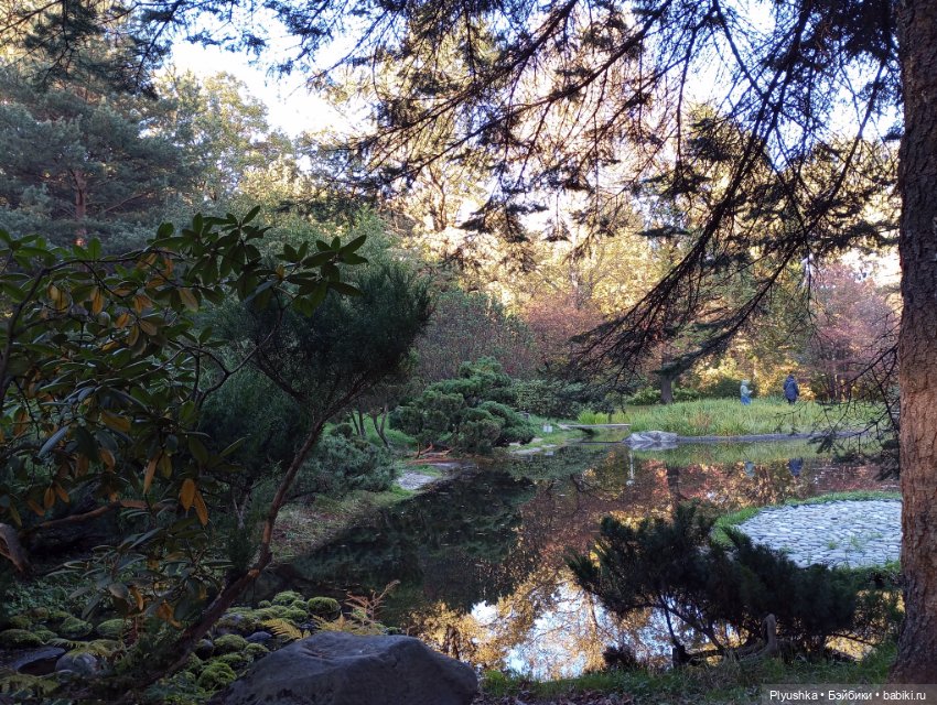 Что такое Момидзигари — Аниме куклы (MJD/Винил): Imomo