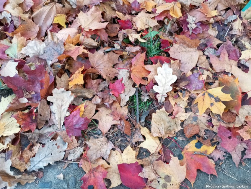 Что такое Момидзигари — Аниме куклы (MJD/Винил): Imomo