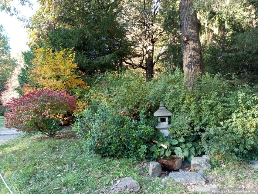 Что такое Момидзигари — Аниме куклы (MJD/Винил): Imomo (фото 4)