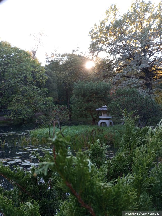 Что такое Момидзигари — Аниме куклы (MJD/Винил): Imomo (фото 2)