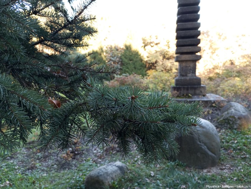 Что такое Момидзигари — Аниме куклы (MJD/Винил): Imomo