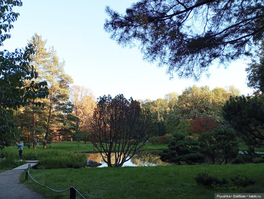 Что такое Момидзигари — Аниме куклы (MJD/Винил): Imomo