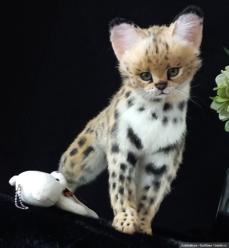 Дикая кошка. Сервал 🖤 — Игрушки в смешанной технике (мех и глина): Арт (фото 8)