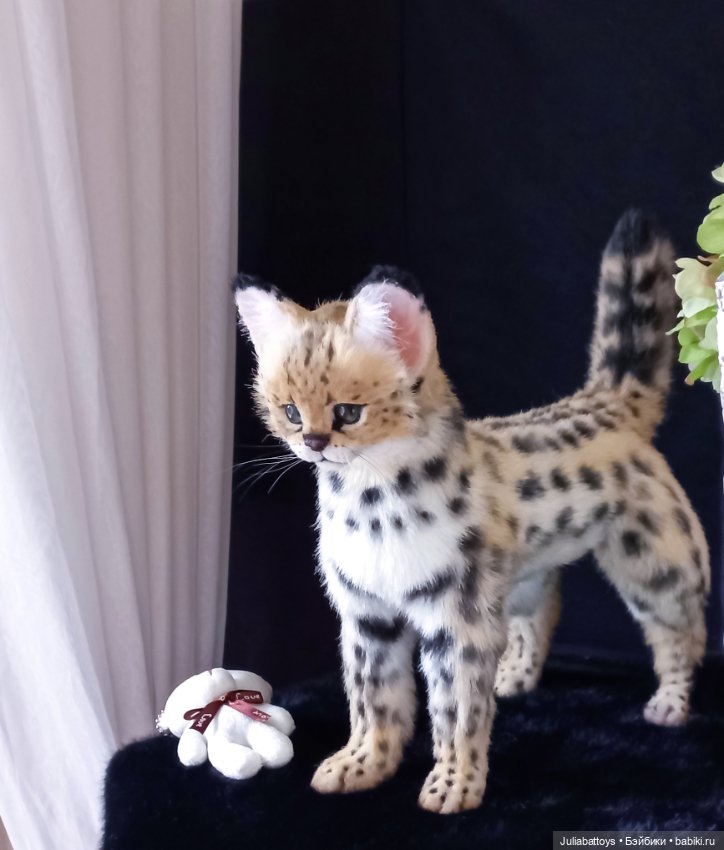 Дикая кошка. Сервал 🖤 — Игрушки в смешанной технике (мех и глина): Арт