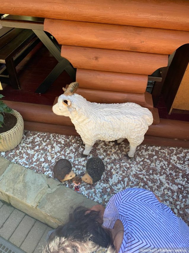 Про Нафочку. Нафочка на рубеже юга России