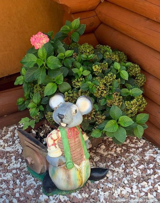 Про Нафочку. Нафочка на рубеже юга России