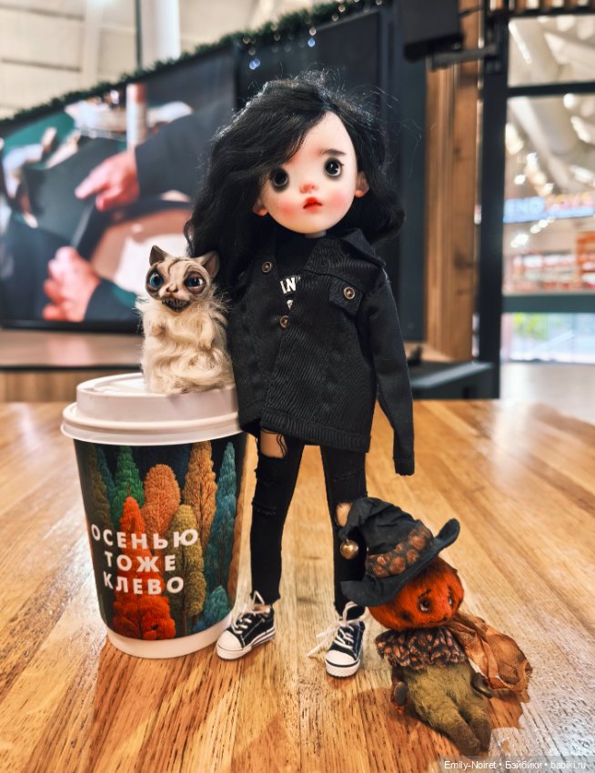 Глаза панды — Разные шарнирные куклы (не БЖД): редкие