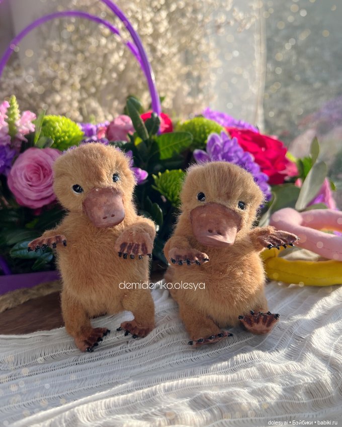 Маленькие утконосы Гастон и Себастьян (фото 5)