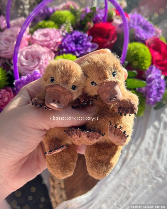 Маленькие утконосы Гастон и Себастьян (фото 6)