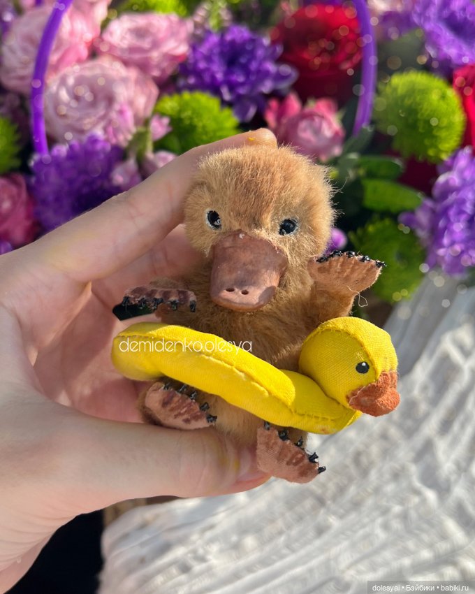 Маленькие утконосы Гастон и Себастьян (фото 7)