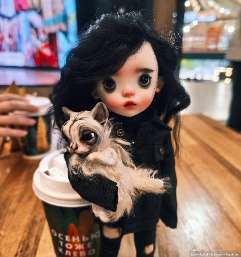 Глаза панды — Разные шарнирные куклы (не БЖД): редкие