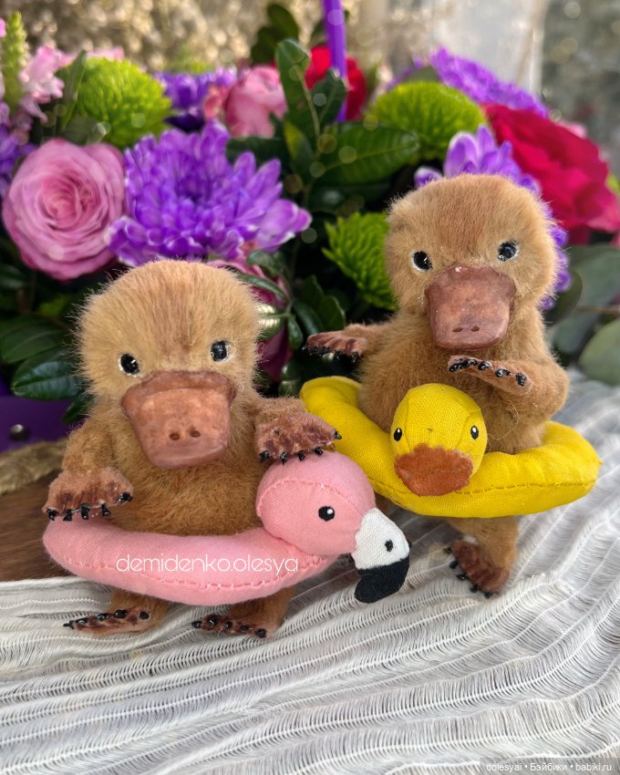 Маленькие утконосы Гастон и Себастьян (фото 2)