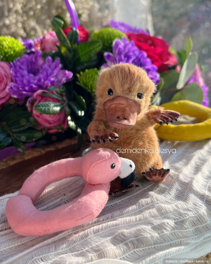 Маленькие утконосы Гастон и Себастьян (фото 4)