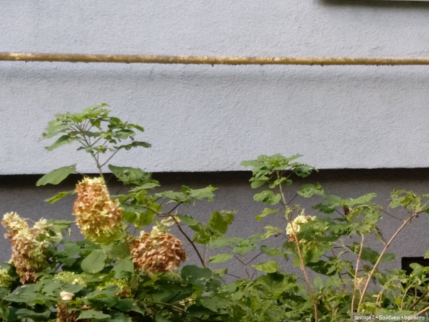 "Перекрёстки вынимаешь как конфеты, монеты" (фото 4)