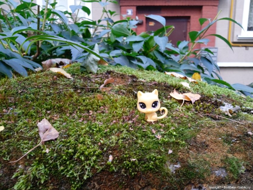 "Перекрёстки вынимаешь как конфеты, монеты" (фото 7)