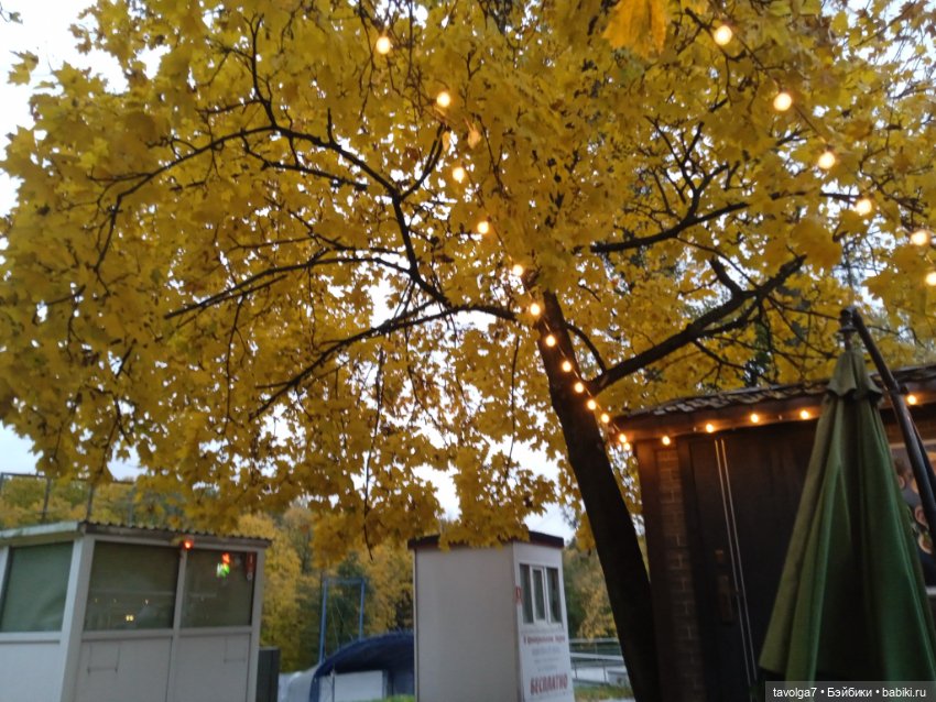 Раздел для Trinity — Куклы Dyvomir (Дивомир) и Trinity (Тринити): российские шарнирные куклы