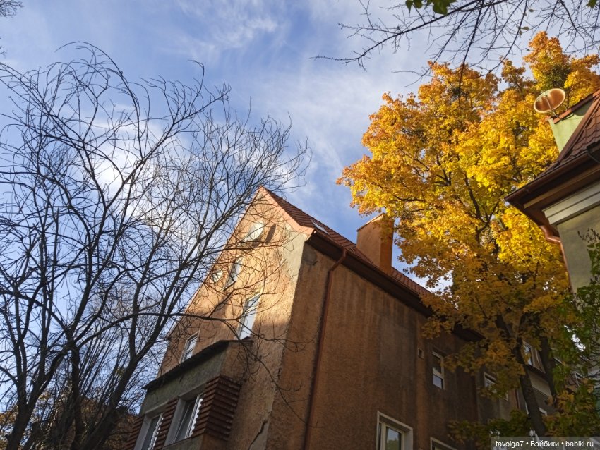 Раздел для Trinity — Куклы Dyvomir (Дивомир) и Trinity (Тринити): российские шарнирные куклы