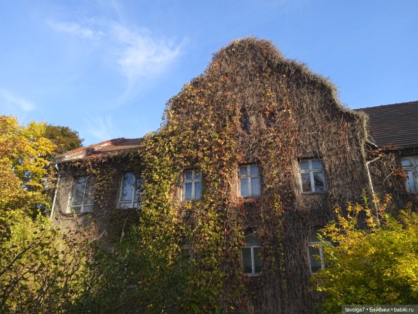 Раздел для Trinity — Куклы Dyvomir (Дивомир) и Trinity (Тринити): российские шарнирные куклы (фото 3)