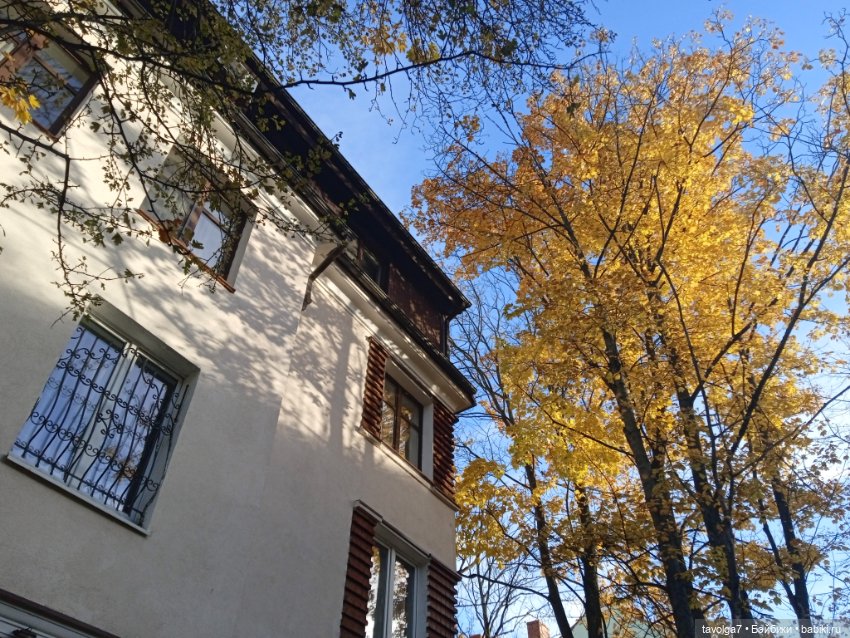 Раздел для Trinity — Куклы Dyvomir (Дивомир) и Trinity (Тринити): российские шарнирные куклы