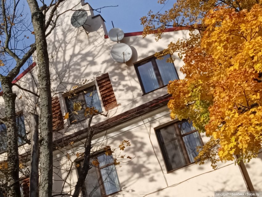 Раздел для Trinity — Куклы Dyvomir (Дивомир) и Trinity (Тринити): российские шарнирные куклы