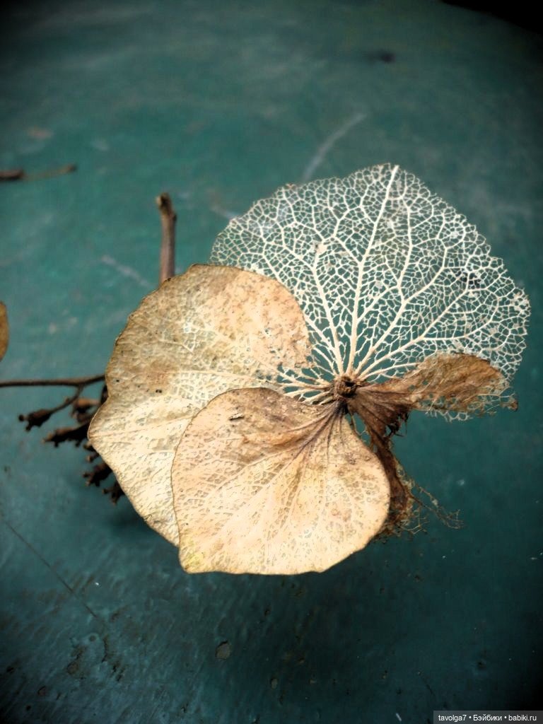 Кинцуги осени — Культура (фото 5)