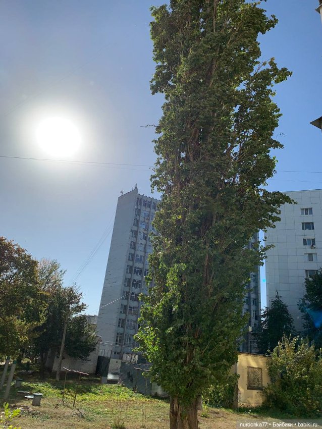 Про Нафочку. Нафочка и ожившая точилка для карандашей