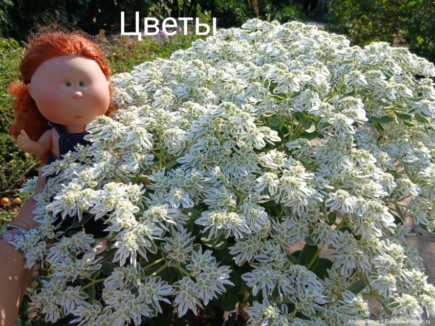 Марусино лето — Куклы Nines d'Onil (Нинес): Миа (Mia) (фото 8)