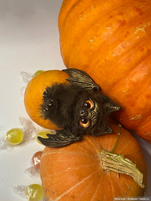 Летучие мыши к Хэллоуину прилетели