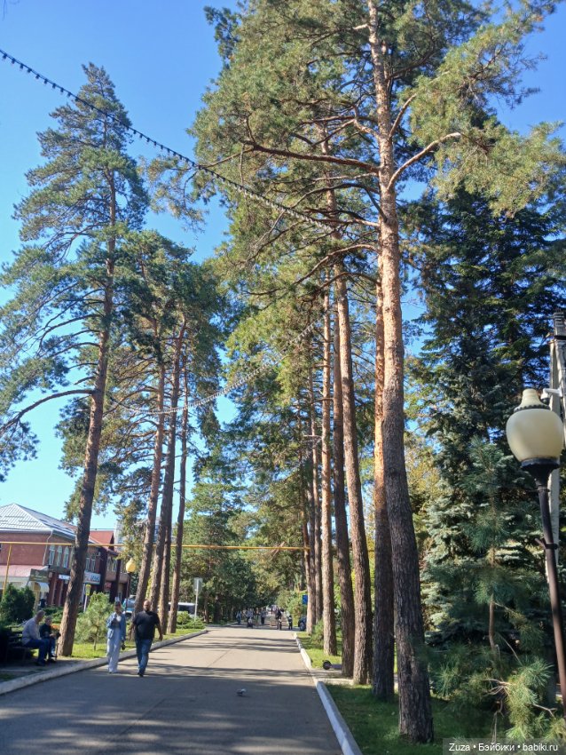 Прогулка с Лерой — Экшн (фото 3)