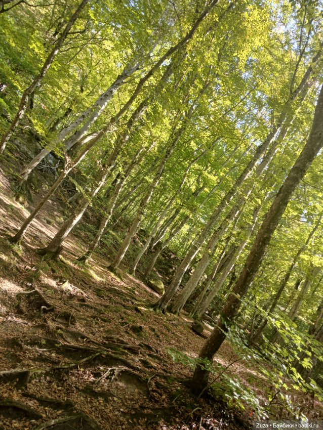 Прогулка с Лерой — Экшн (фото 10)