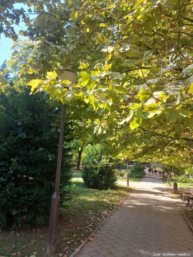 Прогулка с Лерой — Экшн (фото 4)