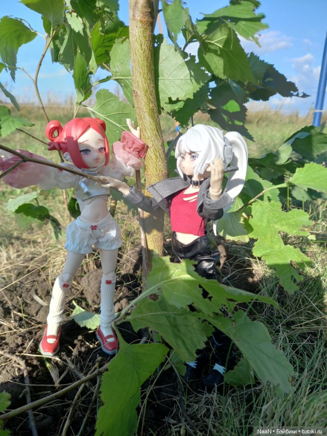 Все говорят о Zack и Eva — Разные шарнирные куклы (не БЖД): редкие (фото 4)