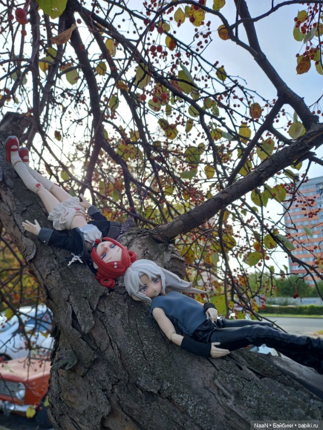 Все говорят о Zack и Eva — Разные шарнирные куклы (не БЖД): редкие (фото 9)