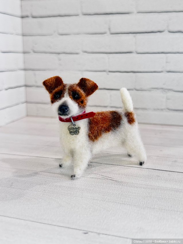 Новый друг - Бисквит — Куклы и тела Obitsu 11 (Ob11): гибриды (фото 2)