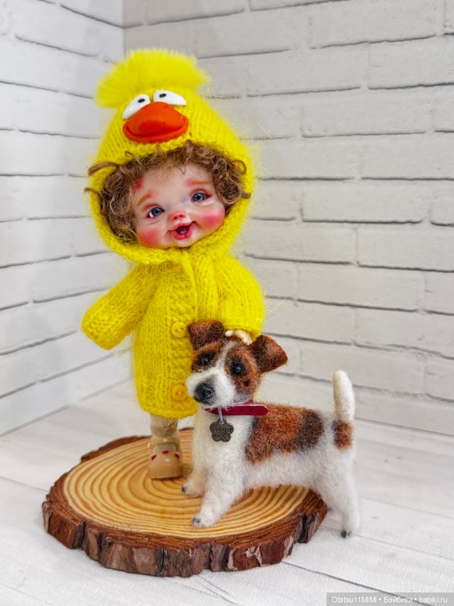 Новый друг - Бисквит — Куклы и тела Obitsu 11 (Ob11): гибриды