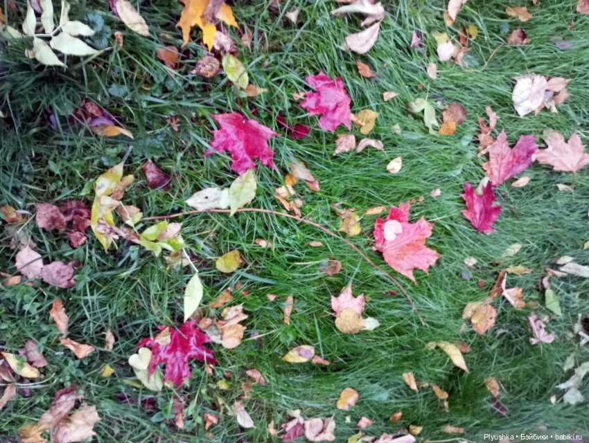 Мийкина осень — Куклы Nines d'Onil (Нинес): Миа (Mia)