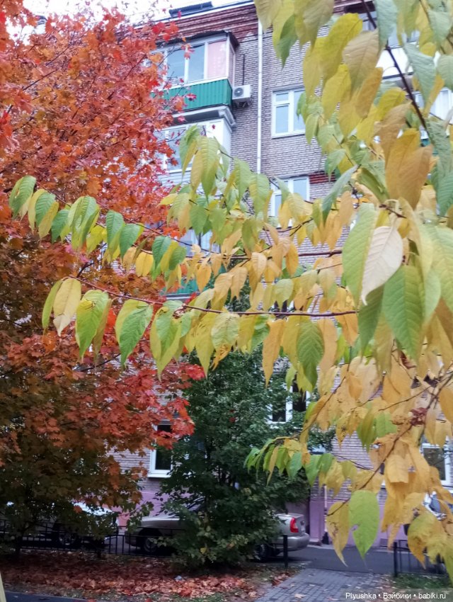 Мийкина осень — Куклы Nines d'Onil (Нинес): Миа (Mia)