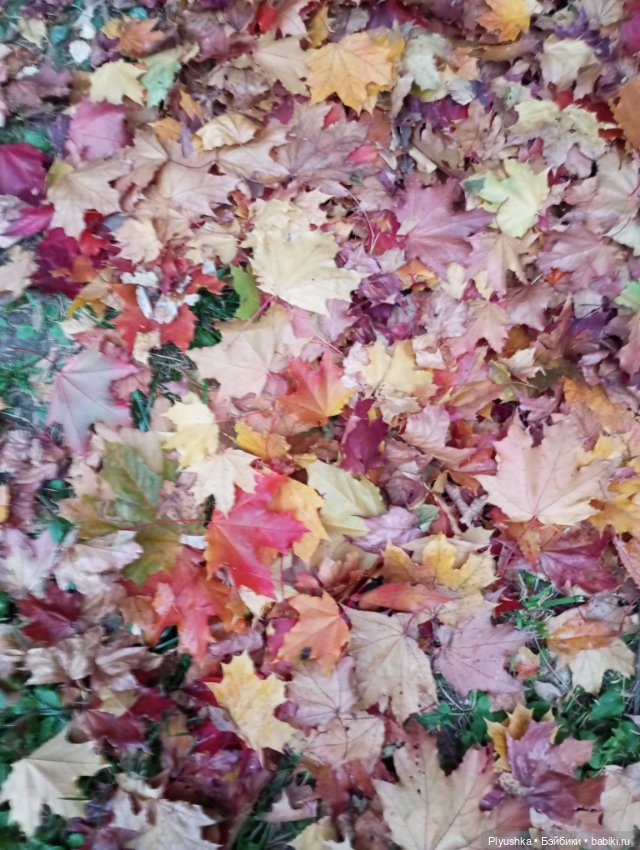 Мийкина осень — Куклы Nines d'Onil (Нинес): Миа (Mia) (фото 4)