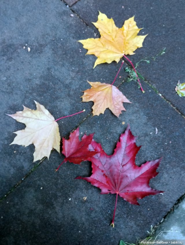 Мийкина осень — Куклы Nines d'Onil (Нинес): Миа (Mia)