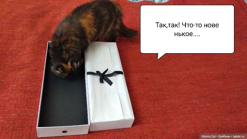 Сестра Кати — Куклы Integrity Toys (Интегрити): Poppy Parker