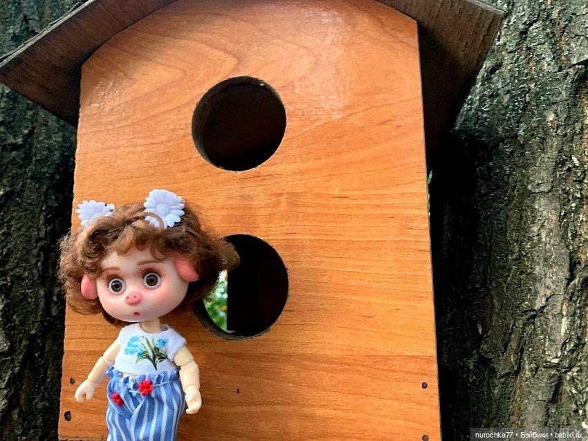 Про Нафочку. Сразу после отпуска. Ещё было лето (фото 7)